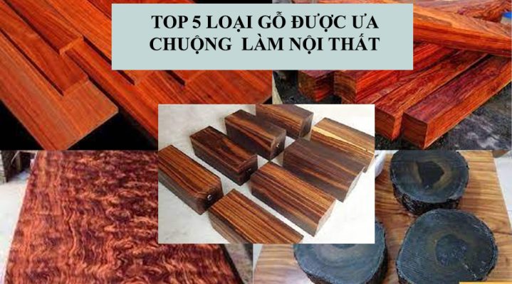5 loại gỗ được ưa chuộng làm nội thất